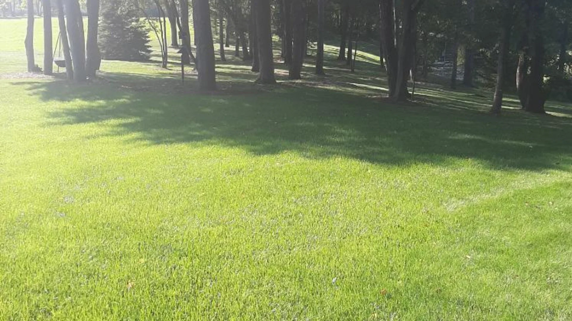 Don't Put Down Your First Spring Fertilizer Treatment Too Early | Tuff Turf