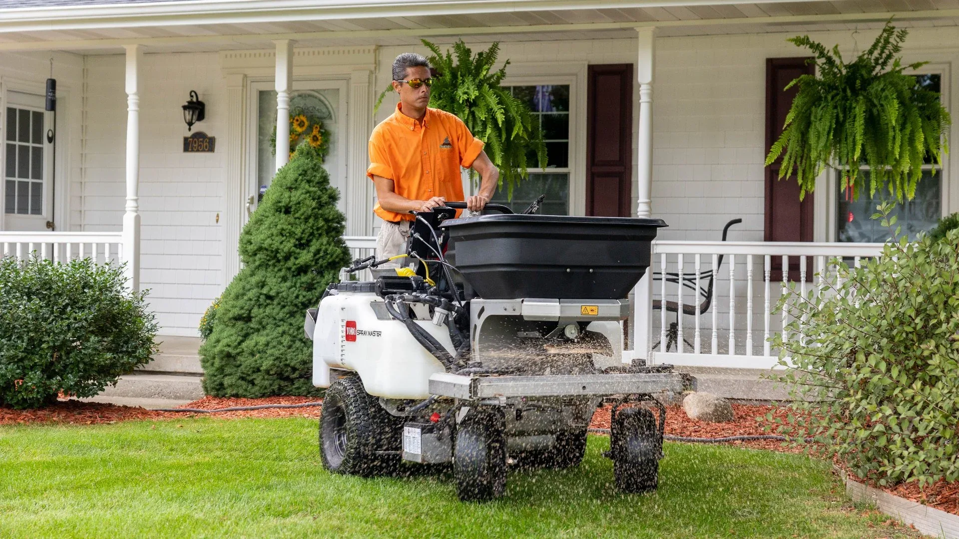 Vacation week lawn handoff when grub patches and watering overlap on clay