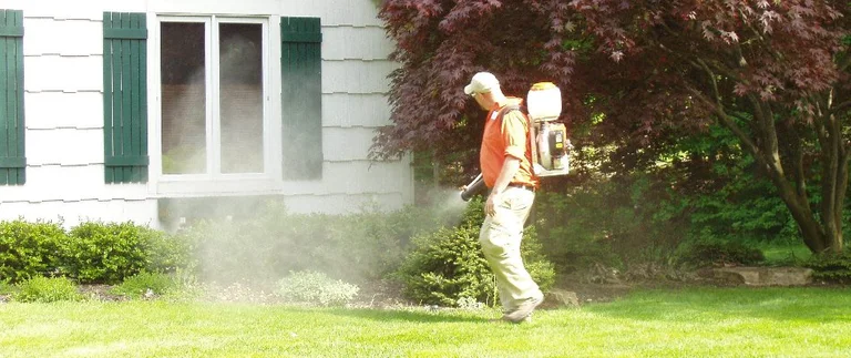 Professional pest control treatment