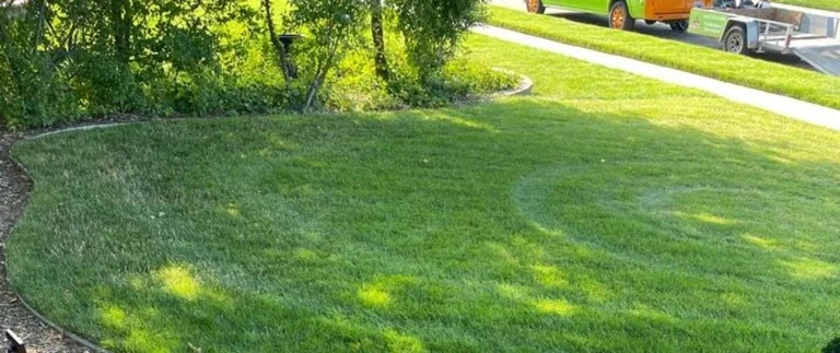 Spring Lawn Care Tips for West Michigan