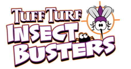 Insect Busters